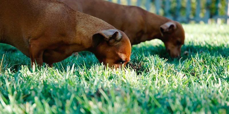守护职业健康：物联网技术如何为石棉作业场所构建智能预警系统，开启特殊养生新篇章