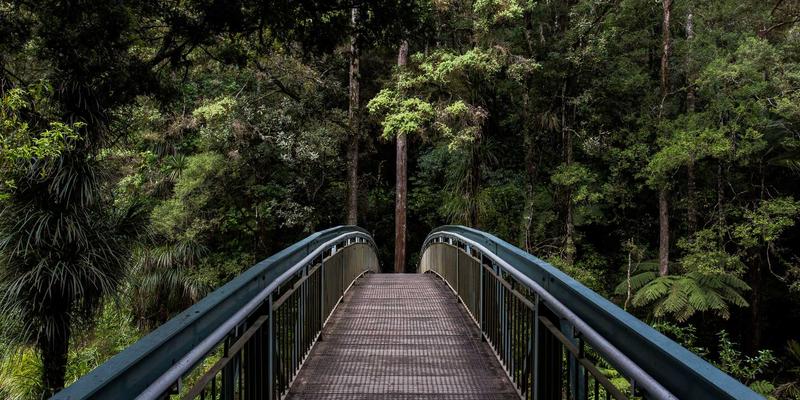 河北石棉13：揭秘中医养生智慧中的特殊养生之道与健康产品选择