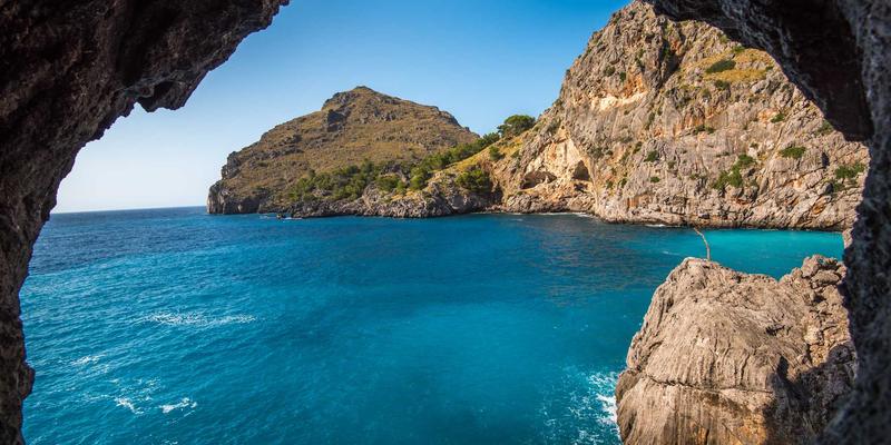 河北石棉66：中医养生视角下的天然保健品新探