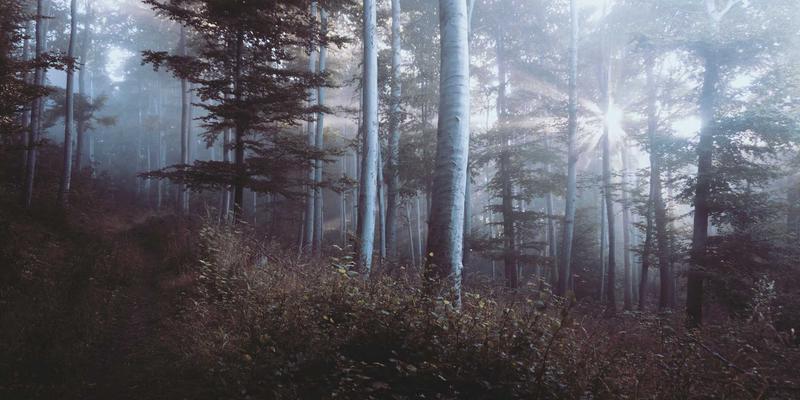 河北石棉82：探寻天然保健品的养生奥秘