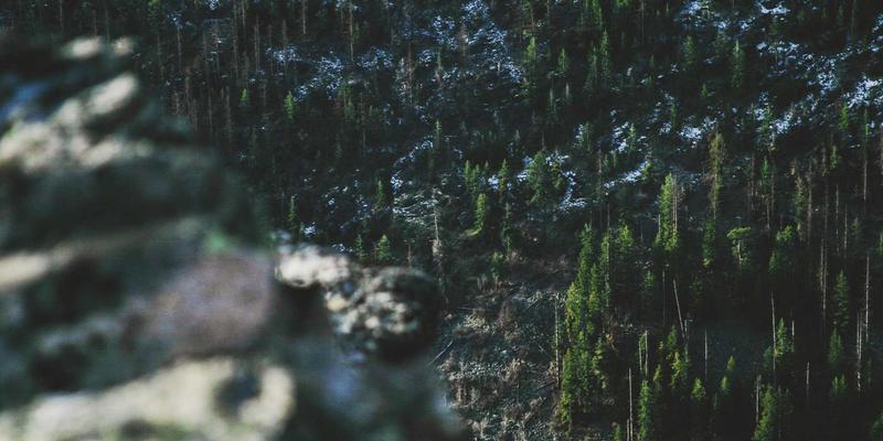 河北石棉96：揭秘传统养生智慧与现代健康理念的天然融合