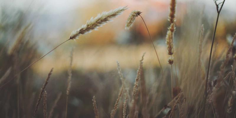 河北石棉无害化处理技术新突破：科研力量守护健康生活与中医养生环境