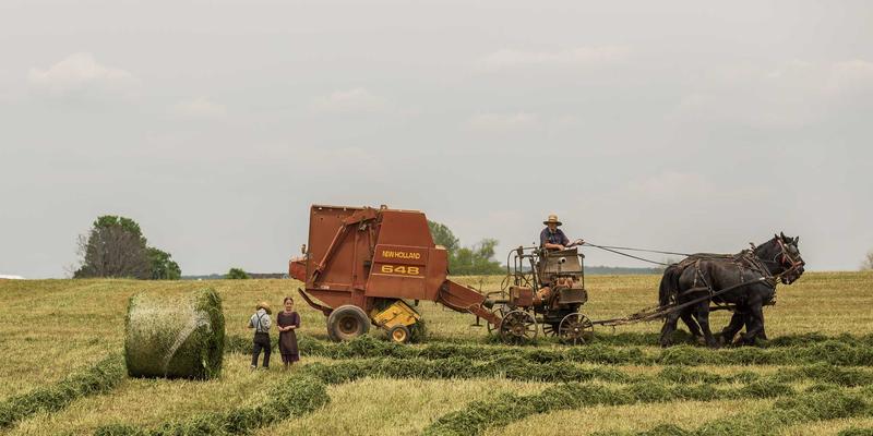河北石棉暴露高风险职业清单：从业者如何用健康产品守护呼吸