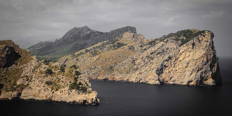 河北石棉矿区土壤重金属协同治理与特色药用植物种植：探索特殊养生与健康生活新路径