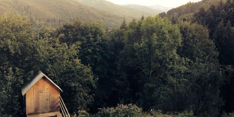 河北石棉矿区生态修复奇迹：从废弃矿坑到特殊养生健康公园的蜕变