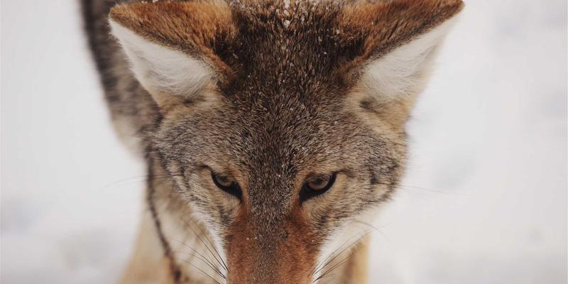河北石棉职业病防护指南：从职场健康到法律保障的全面守护