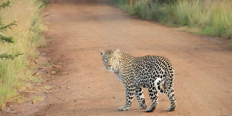 河北石棉:被误解的天然瑰宝,还是特殊的养生密码?