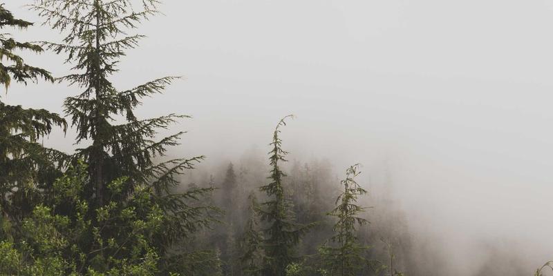 河北石棉评测：探秘中医养生中的天然瑰宝与特殊养生智慧