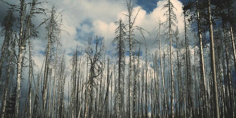 河北石棉识别与安全拆除指南：守护健康生活，从老旧建筑改造开始